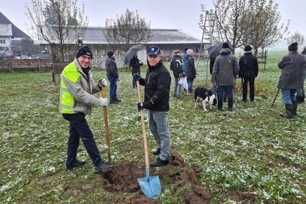 Baumpflanzaktion im Zürcher Oberland